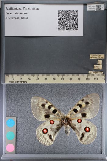 Media type: image;   Entomology 197059